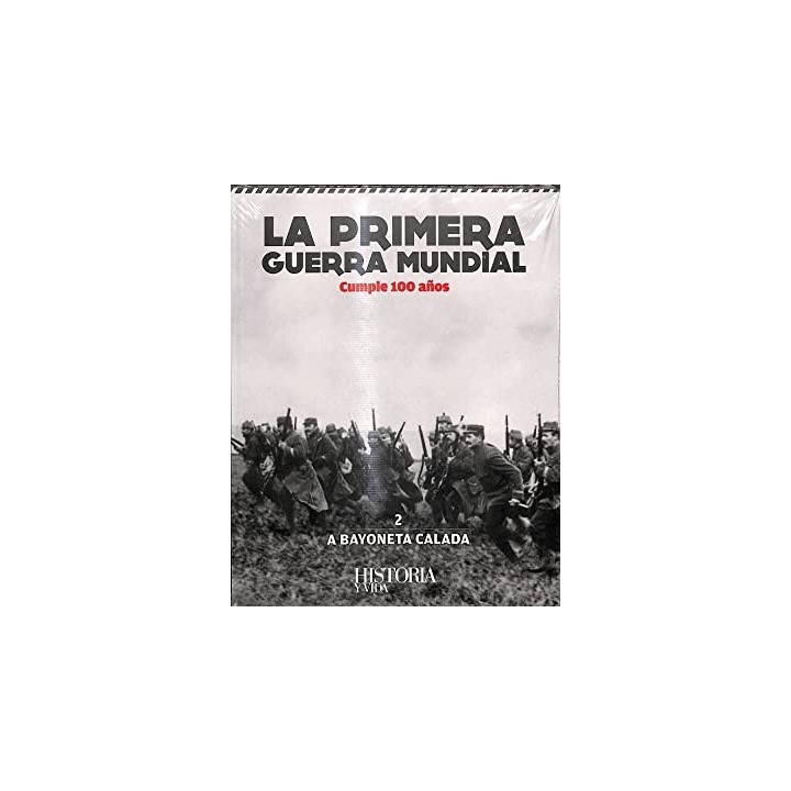 La Primera Guerra Mundial cumple 100 años. 2 A BAYONETA CALADA